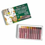 Crayola Portfolio Series Water Soluble Oil Pastels 300-Count Set